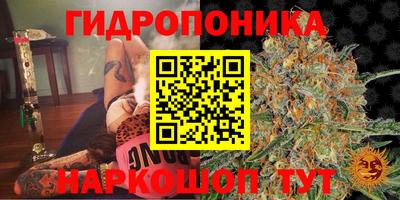 а пвп мука Будённовск