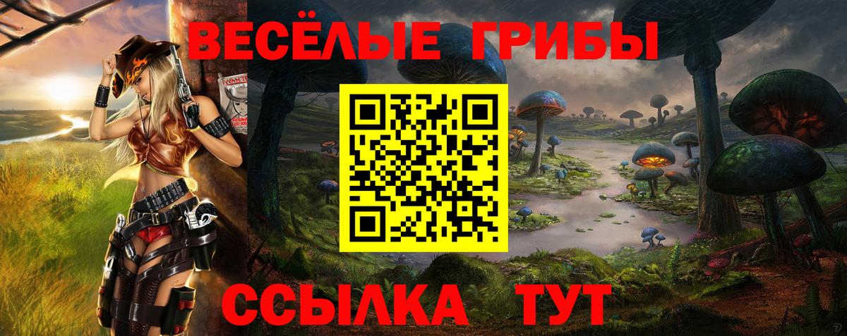 Псилоцибиновые грибы Psilocybe Ижевск