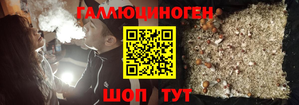 Галлюциногенные грибы MAGIC MUSHROOMS  Вход с VPN  Ижевск 